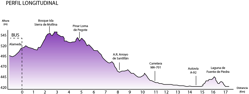 perfil-laguna-fuente-de-piedra