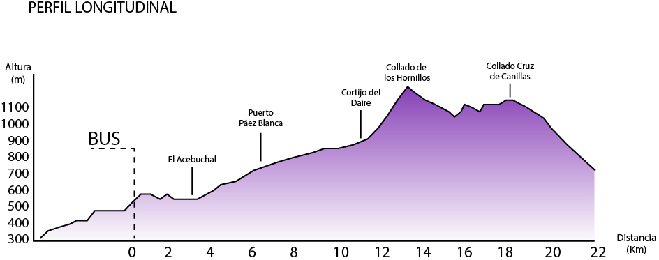 etapa-06-perfil