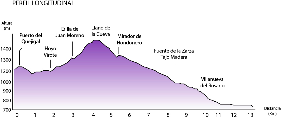 etapa-11-perfil