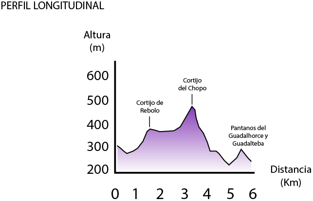 etapa-19-perfil